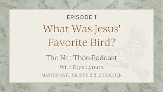 What Was Jesus Favorite Bird Nat Theo Episode 1