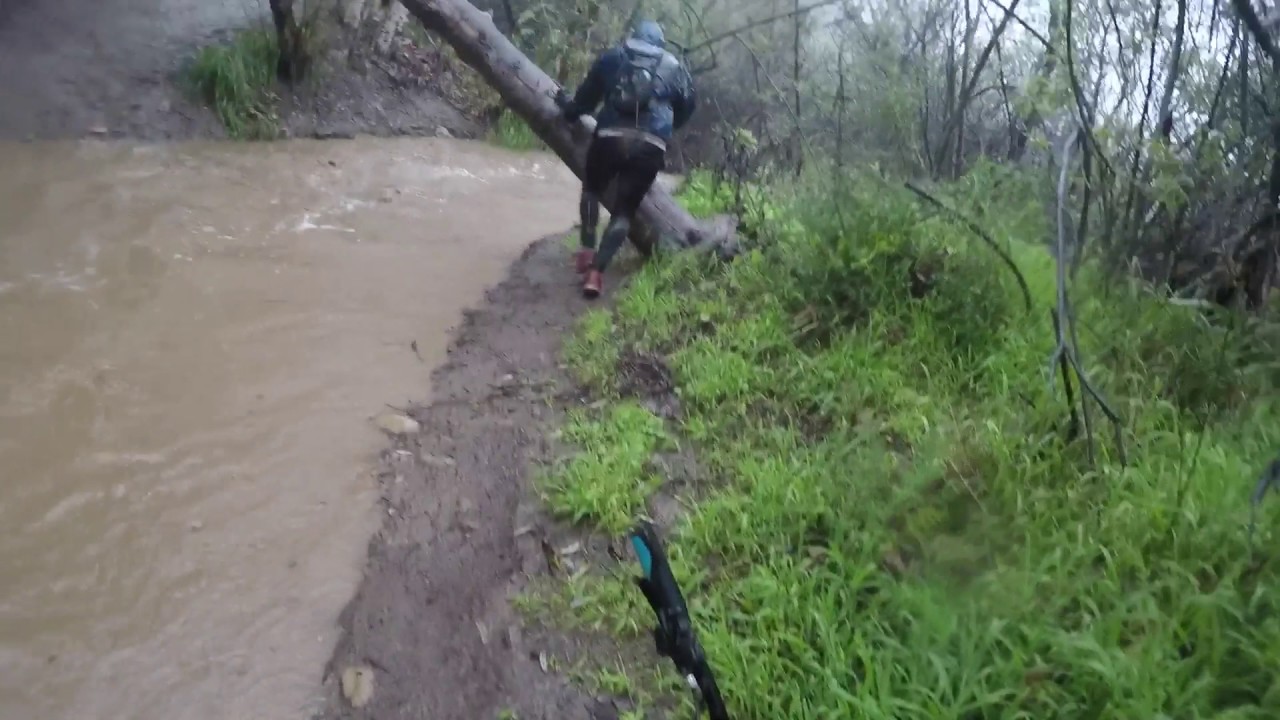 Amazon River YouTube