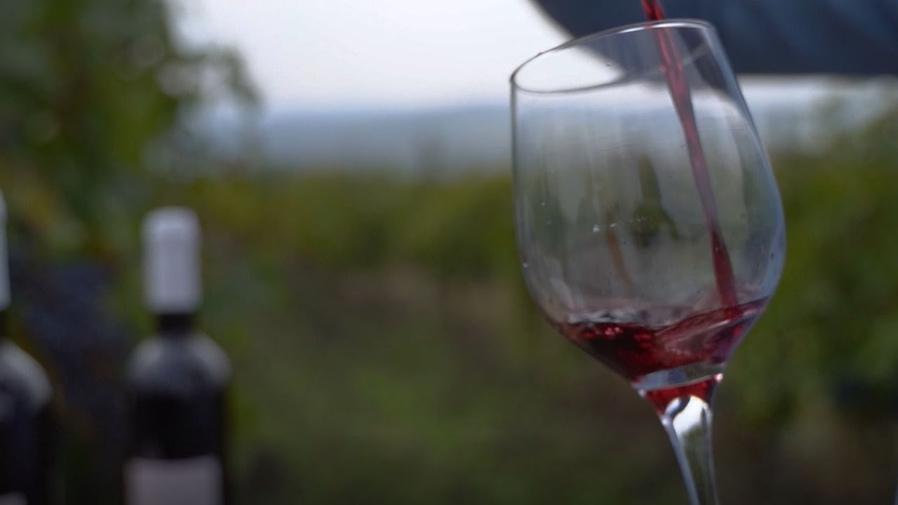 Fermierii României - Povestea lui Alexandru Sereș, un mândru viticultor din România