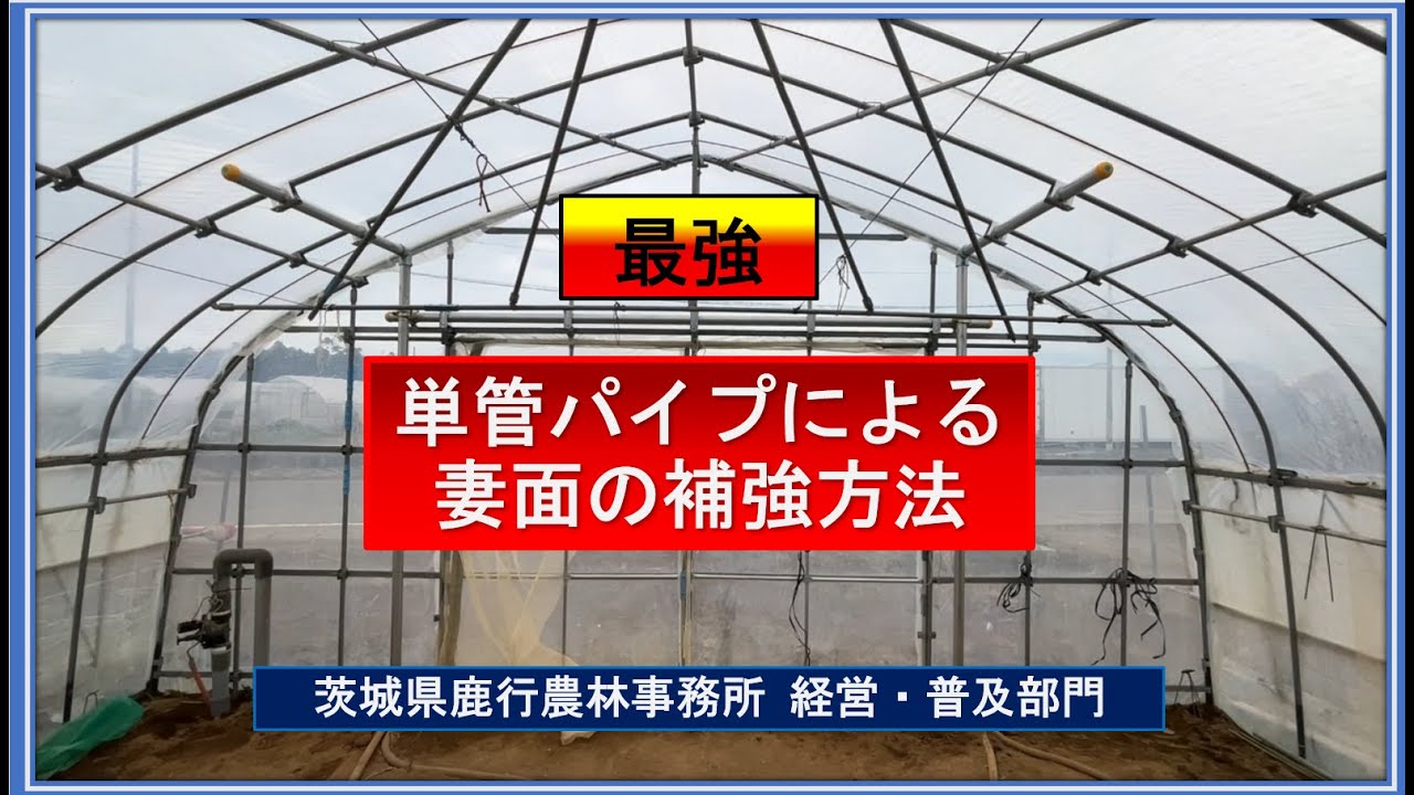 【受付終了】農業用　ビニールハウス　元2連棟　4,5mmパイプ【要解体】 受付終了】農業用 ビニールハウス 元2連棟 4，5mmパイプ【要解体】の