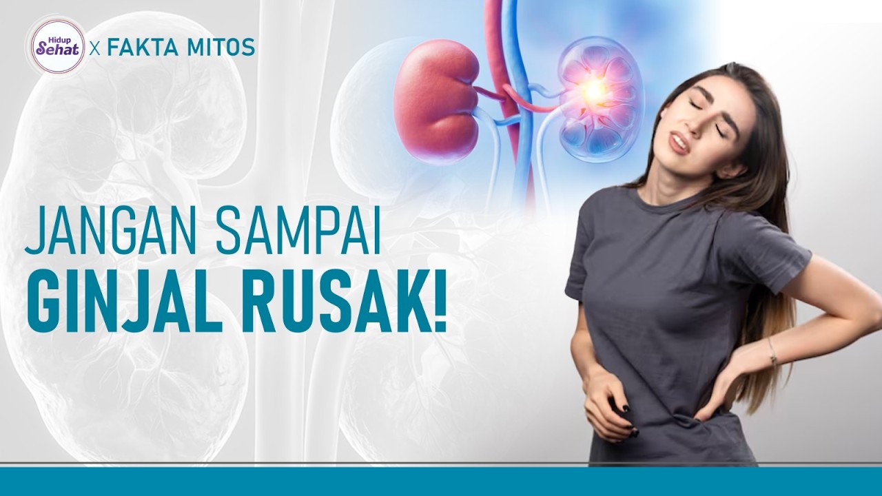 Tanda dan Penyebab Kerusakan Ginjal, Penyakit Ini Salah Satunya! | Hidup Sehat tvOne