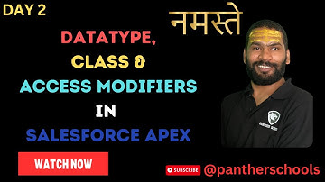 DAY2 - Data Types | Class | Access Modifiers in Salesforce - #Salesforce in Hindi #pantherschools