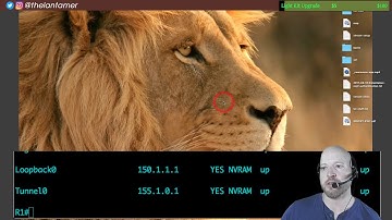 day 40 - OSPF authentication, a few good links