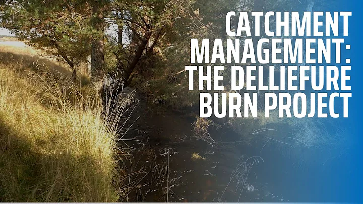 Catchment Management: The Delliefure Burn Project