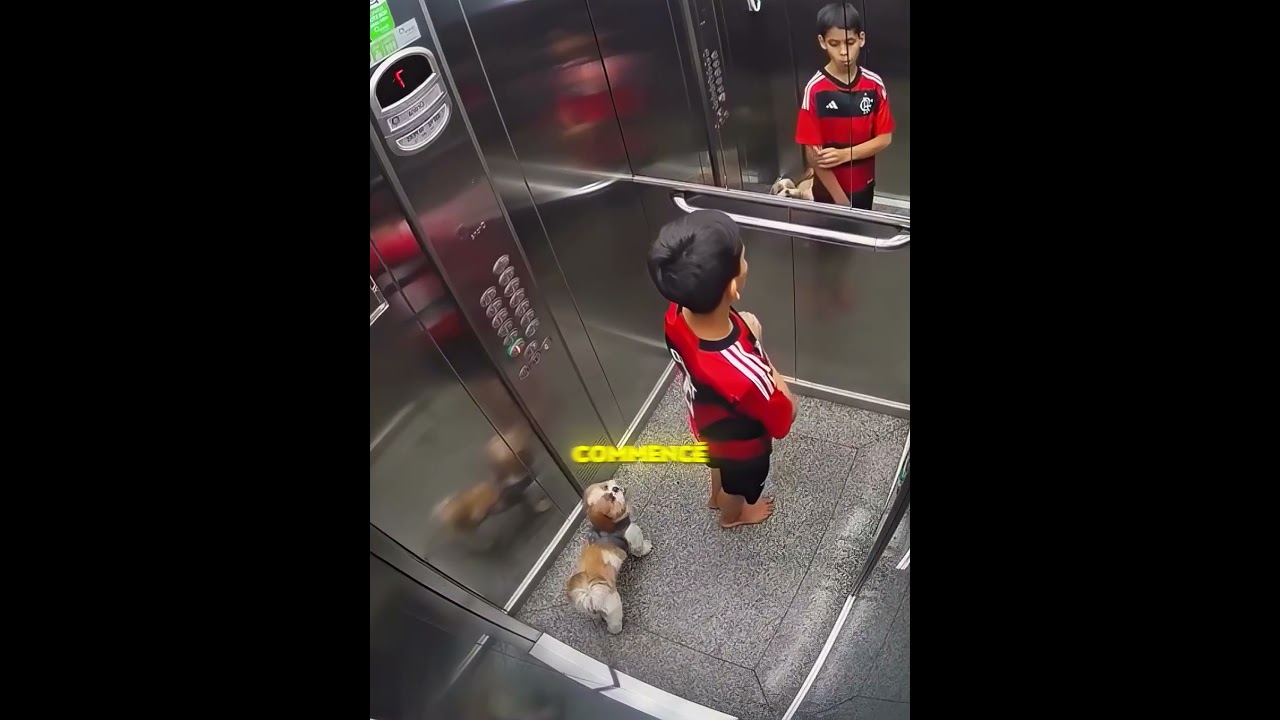 Le garçon a sauvé son petit chien 🐶