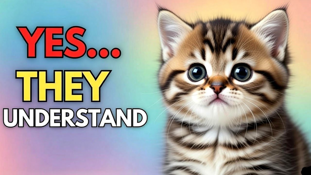 5 слов, которые ваша кошка действительно понимает (доказано экспертами)