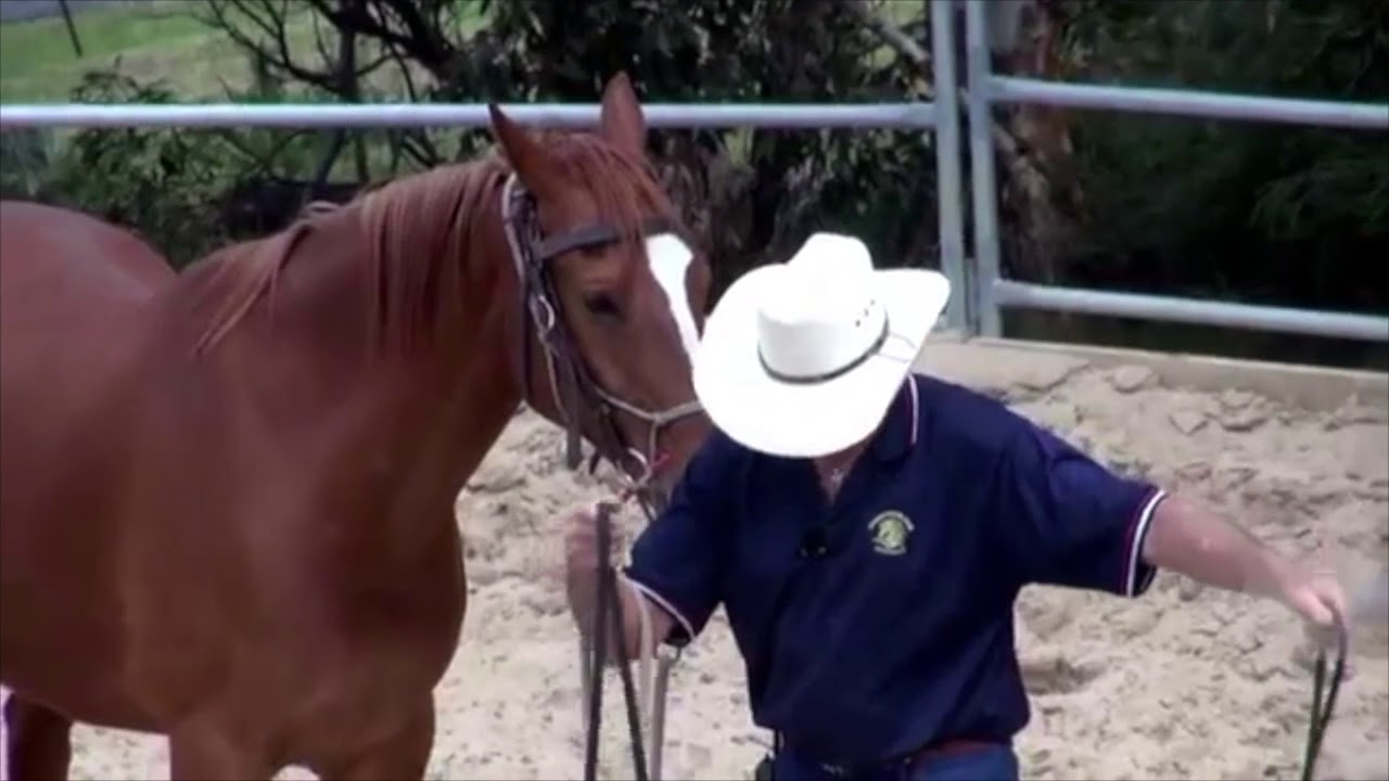 Managing the girthy horse YouTube