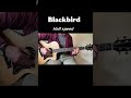 “Blackbird” Beginner Guitar Tutorial (Slow Motion) #guitar
