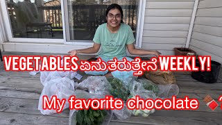 USA ನಲ್ಲಿ monthly ತರಕಾರಿಗಳನ್ನು (vegetables) ಏನು ತರುತ್ತೇನೆ#kannada#india #troll #trend #tumkur