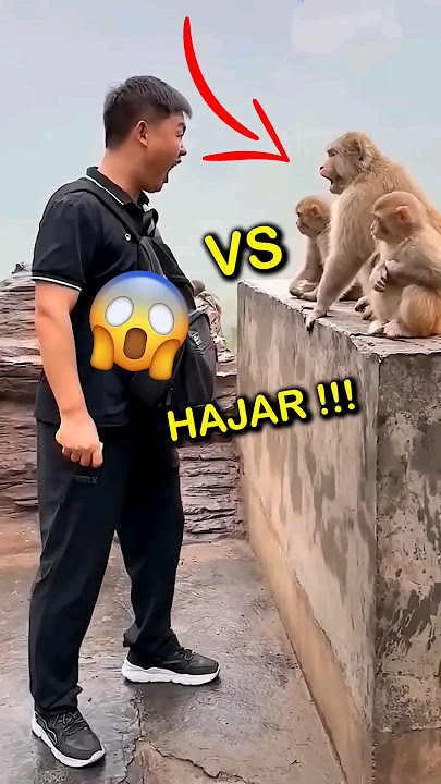 Monyet vs Manusia #shorts