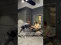 POV You Re Getting Robbed But Listening To LeeHyun Sunbaenim S New Song 이현 이쯤에서 널 CORTIS 코르티스 