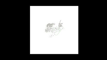 🟣Anetha - How would they know [Mama told ya]