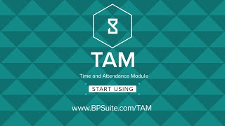 Time and Attendance Module (TAM) [EN] screenshot 4