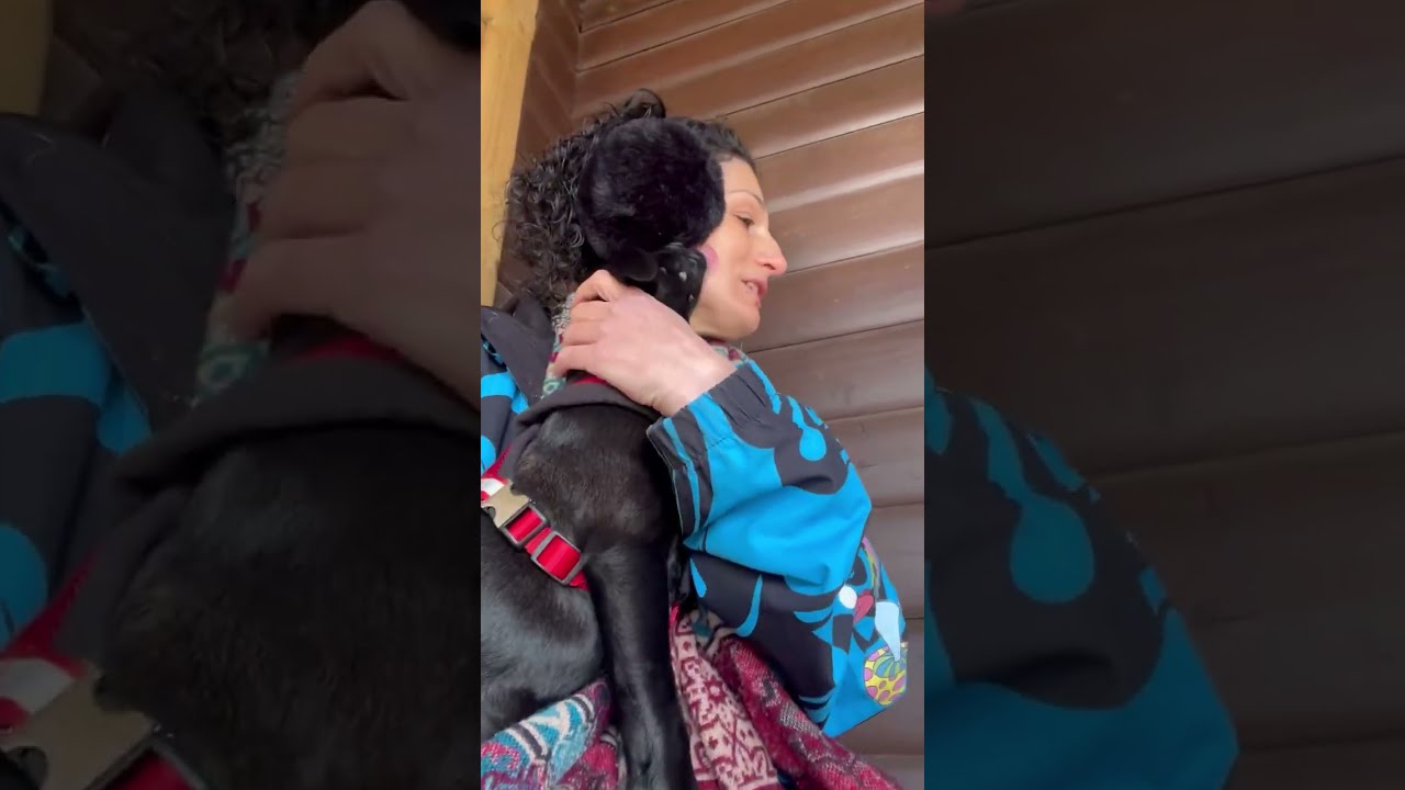 Walking puppy around park 