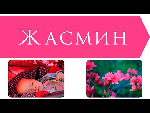 Жасмин, цветок из сказки