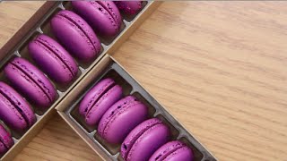 purple raspberry macaron by blanchturnip