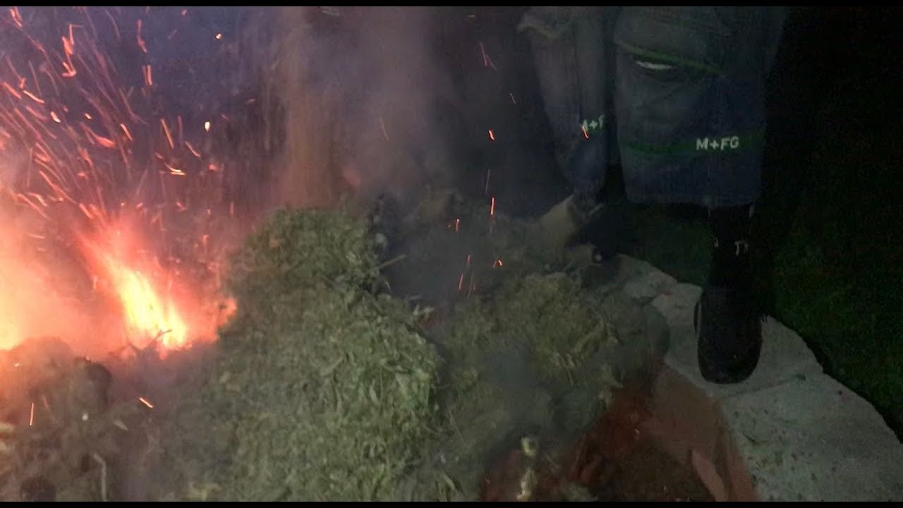 Throwing 4 LBS of WEED in the Fire Pit !!!