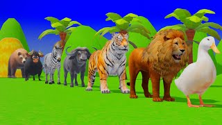 Long Slide Game with Tigers Lion Cow Hippopotamus Gorilla 3d Animal Game Funny 3d Animals screenshot 3
