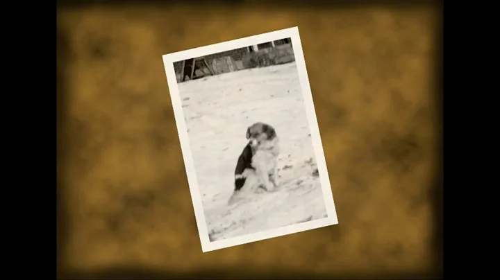 Martha Kuhn Ubl biographic video