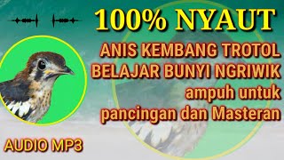 ANIS KEMBANG TROTOL BELAJAR BUNYI NGRIWIK MP3 DOWNLOAD