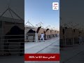 Camel Slaughtering In Qatar نحر الإبل في قطر Qatar 2025 