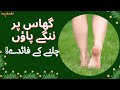 گھاس پر ننگے پاؤں چلنے کے فائدے 