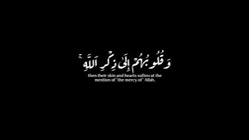 (الله نزل أحسن الحديث) | عبدالله سعيد | سورة الزمر | #quran #كرومات #krumat #reels #quran_kareem