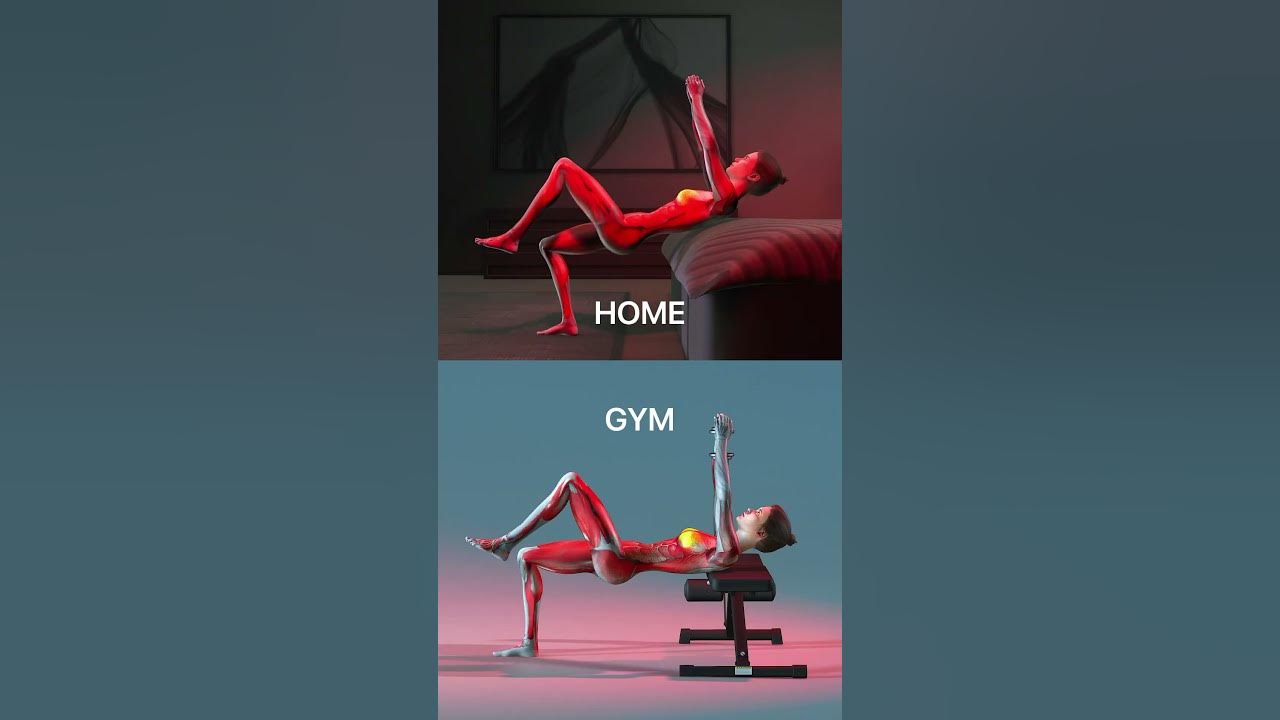 home-workout-exercise-different-gym-workout-exercise-youtube