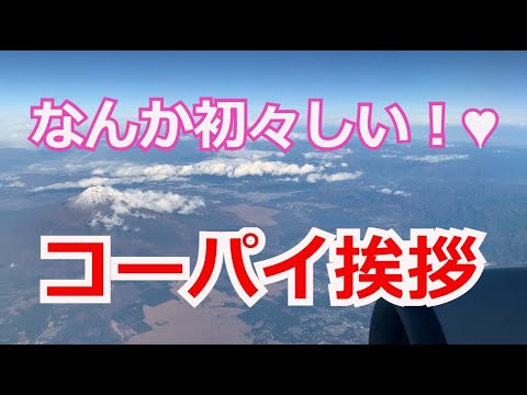 あれっ 勘違い Jal機 操縦室よりコーパイ 副操縦士 からの挨拶アナウンス 飛行機 Youtube あれっ 勘違い Jal機 操縦室よりコーパイ 副操縦士 からの挨拶アナウンス 飛行機 Youtube