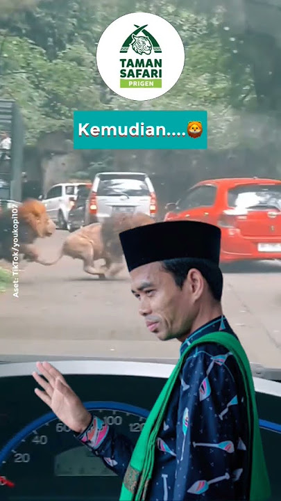 Ustad Abdul Somad - pelihara Singa di rumah apakah boleh?! taruh di Taman Safari saja!!