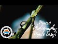 Macro Photography Made EASY & SIMPLE!