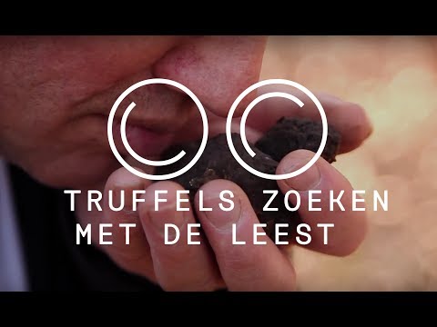 Video: Truffels Vinden?