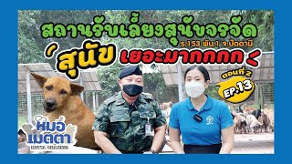 หมอเมตตา Ep.13 | สถานรับเลี้ยงสุนัขจรจัด