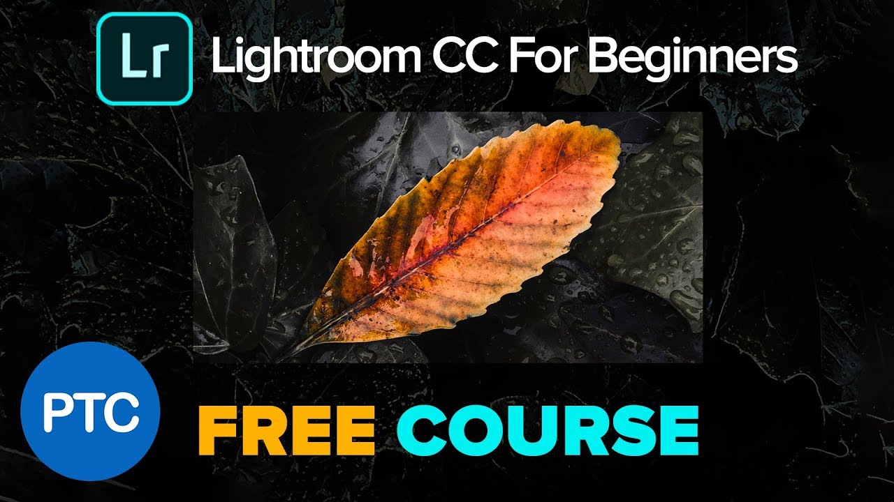 The Only Guide for Lightroom Tutorial Youtube