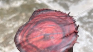 Review gốc trắc dây krôngpa đặc tịt 13kg đục đẽo các kiểu ạ giá lh033.891.8991 THQ