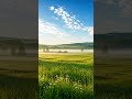 Deep Focus Music #Shorts | Calm Chamber Orchestra, No Vocals