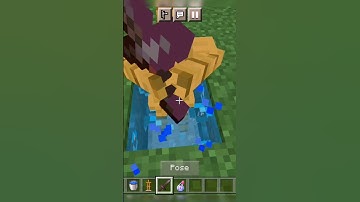 minecraft build hacks #tranding #minecraft #shorts