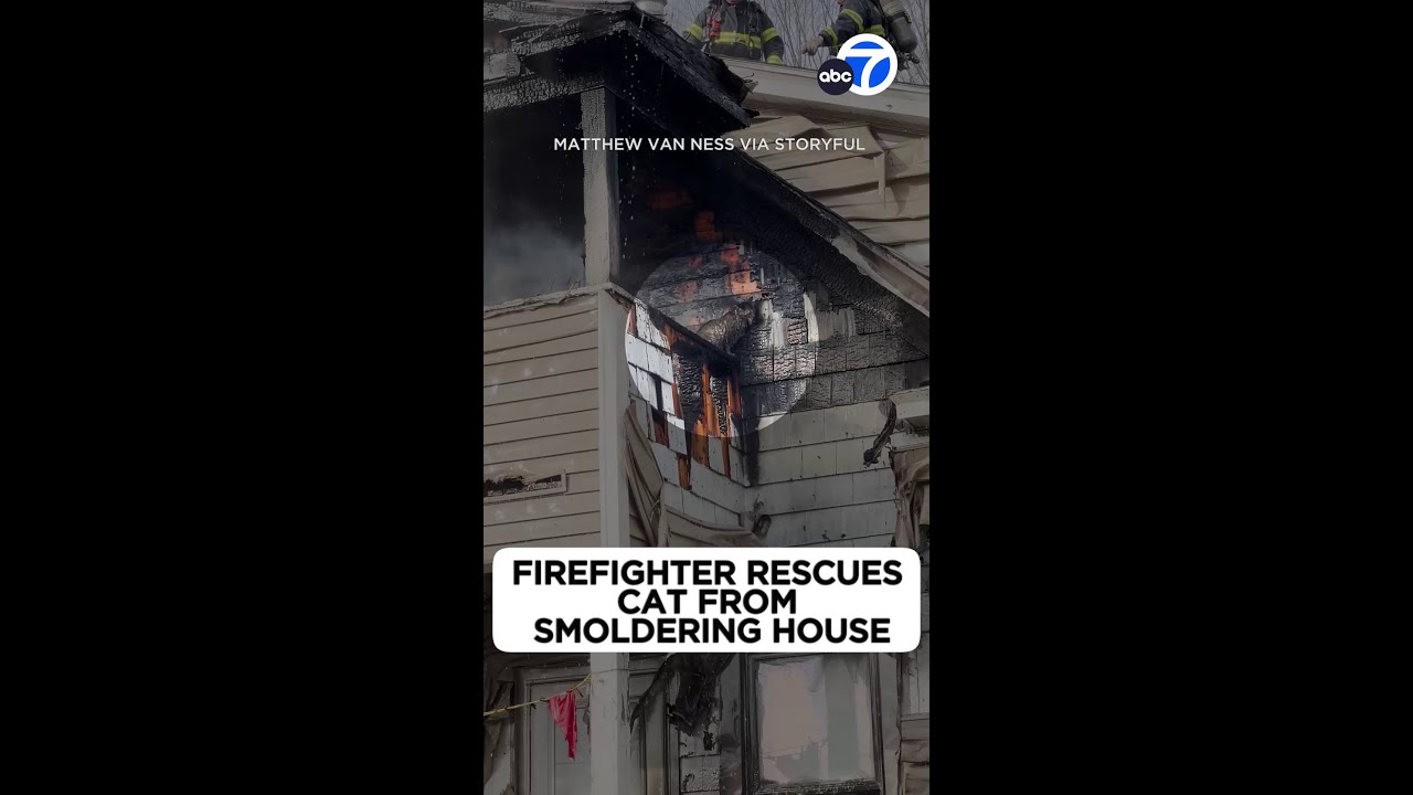 Firefighters rescue cat from house fire