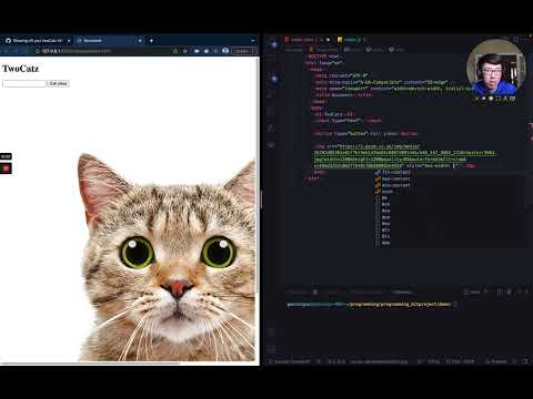 Create the CataaS Website ~ meow [Intro to Serverless 4.5]