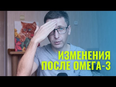 Видео: Обзор продукта: Kurgo складывает чашу