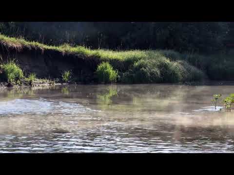Video: Agidel River: maelezo, historia na ukweli wa kuvutia