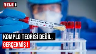 COVID'in sır perdesi aralanmaya devam ediyor. Gözler Almanya'ya çevrildi Resimi