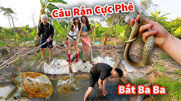 Hậu Cáo - Câu Rắn Bắt Ba Ba Trong Hang Trổ Tài Bắt Cá Chuối Cực Phê !