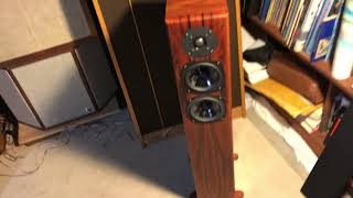 Victor M 7050  McIntosh C34V Vienna Acoustics Mozart