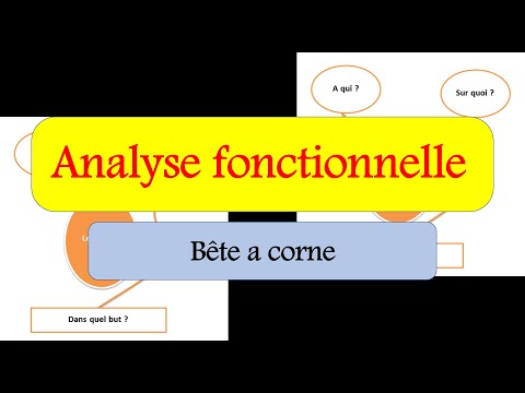 bete a corne -Analyse fonctionnelle -SI (darija)