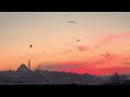 The Most Peaceful Sunset Video for Sleep, Study and Stress Relief
