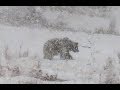 Hiking to McBride Lake - Yellowstone National Park