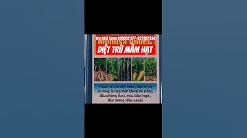Thuốc trừ mầm hạt của tất cả các loại cỏ. #dietmam