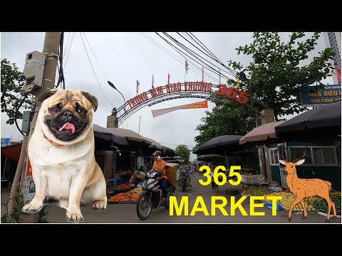 Video Chợ đầu mối 365 Hà Đông | Chợ giao thương 365 - youtube