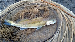 видео: Рыбалка на реке Вятка. Вятка обмелела, ловим с центра реки.  Резинка, донки, почти весь арсенал. картинка: Рыбалка на реке Вятка. Вятка обмелела, ловим с центра реки.  Резинка, донки, почти весь арсенал.